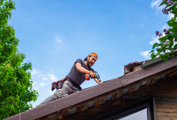 Best Gutter Installation and Repair  in Fort Lauderdale, FL